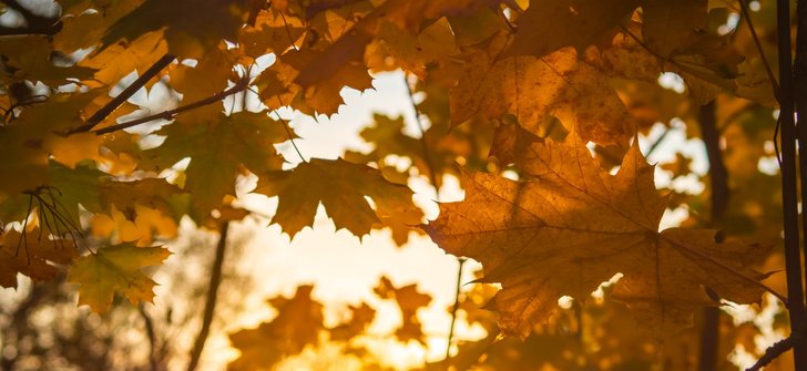 9월, 가을 바람이 바꿔놓을 내 운명의 흐름